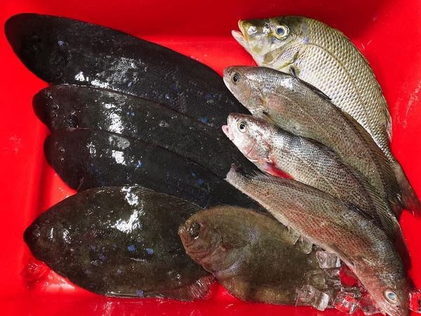 <br /><br />幸福二館